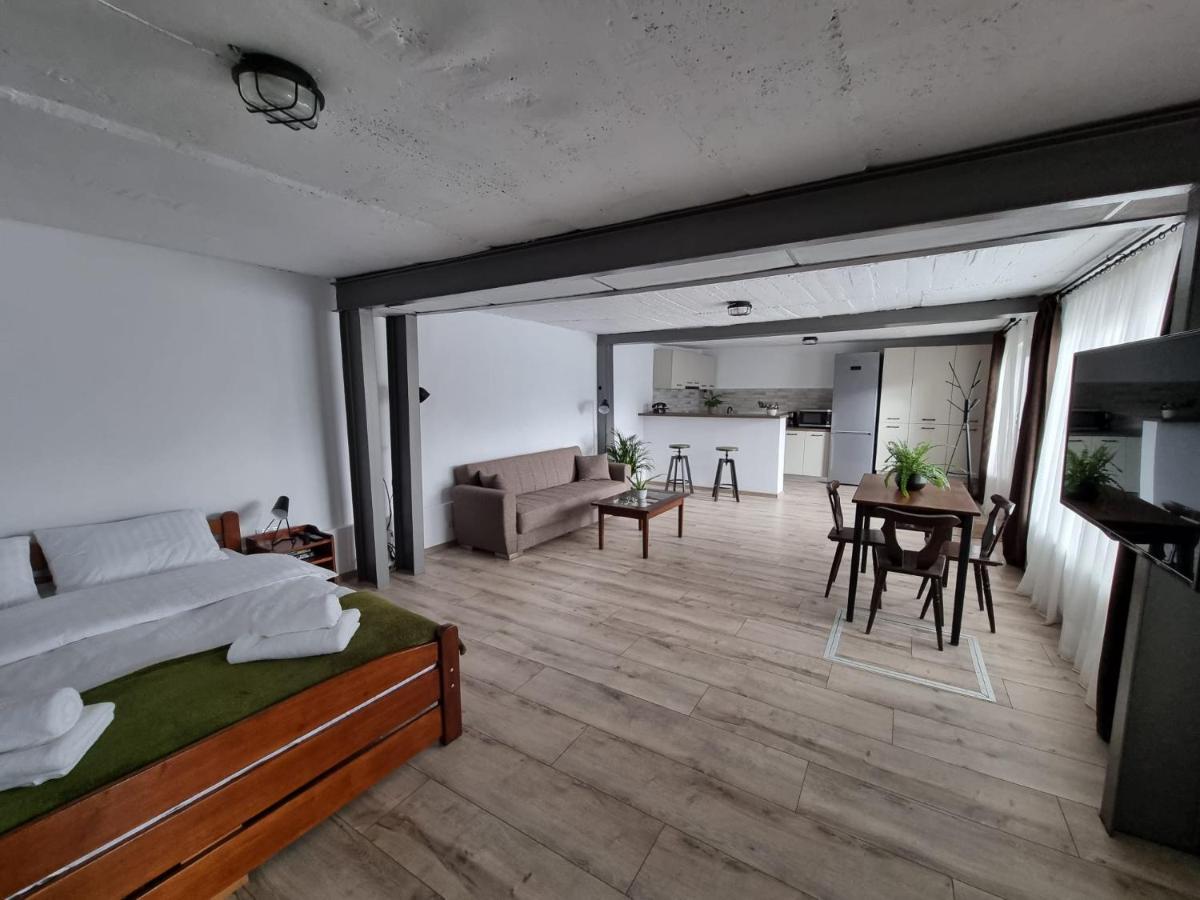 The Cozy Bunker Apartament Sibiu