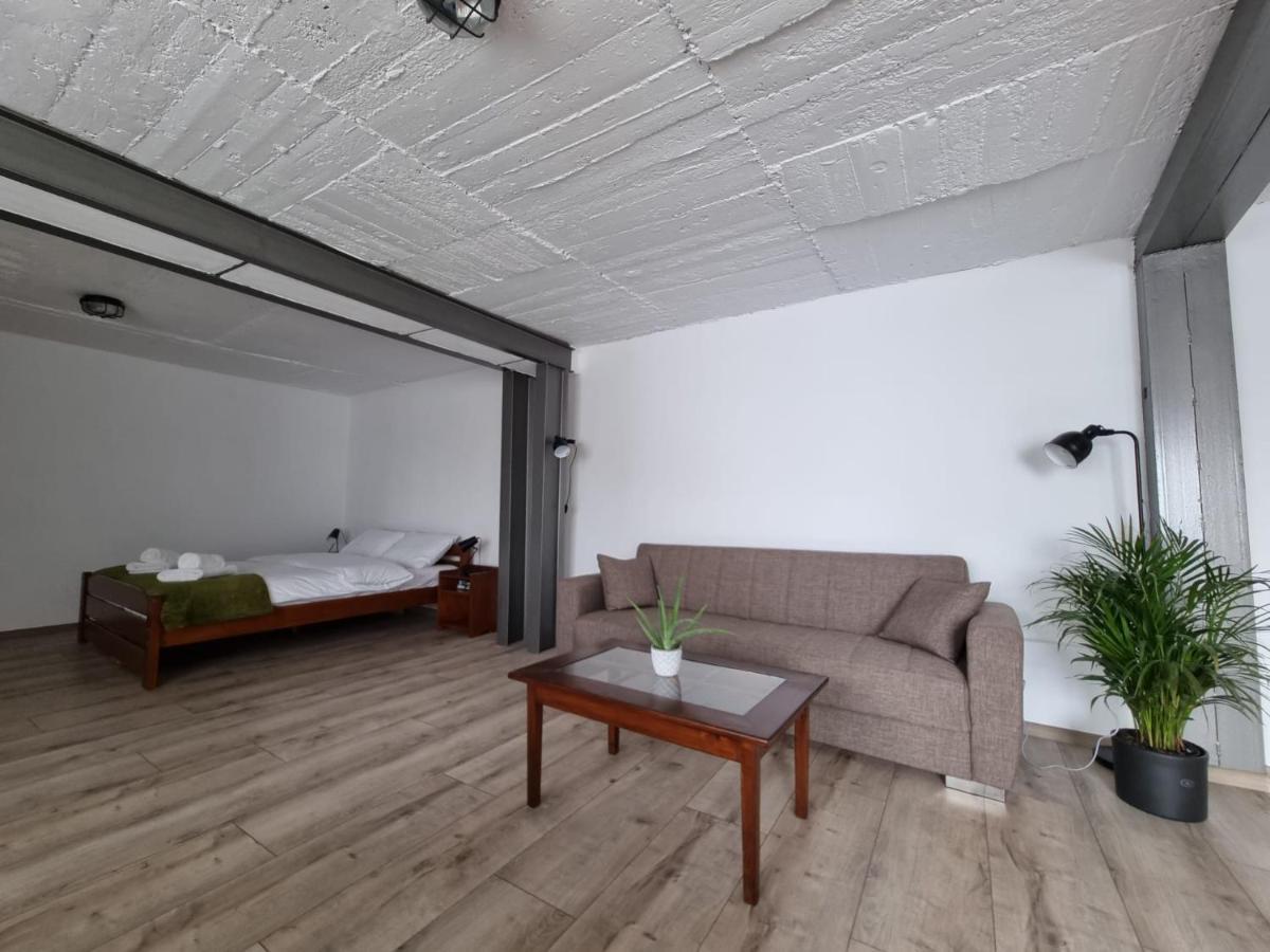 The Cozy Bunker Apartament Sibiu
