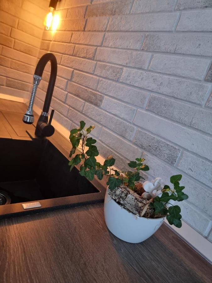 Apartament The Cozy Bunker Sibiu
