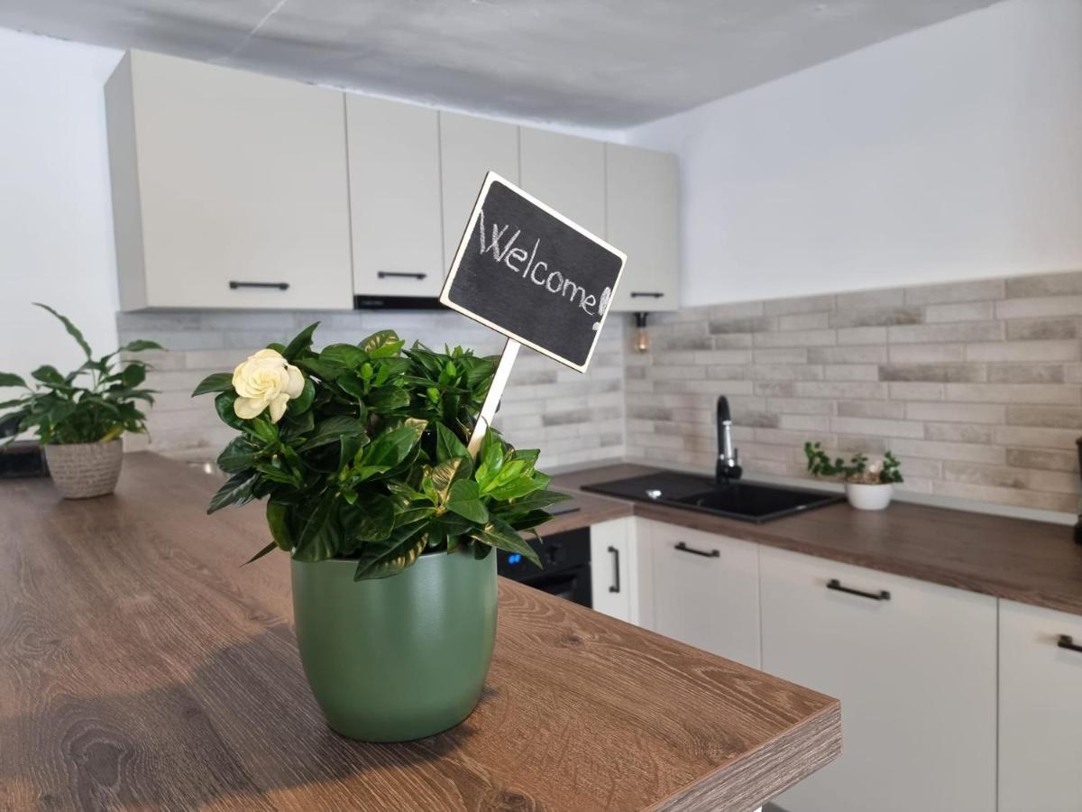 The Cozy Bunker Apartament