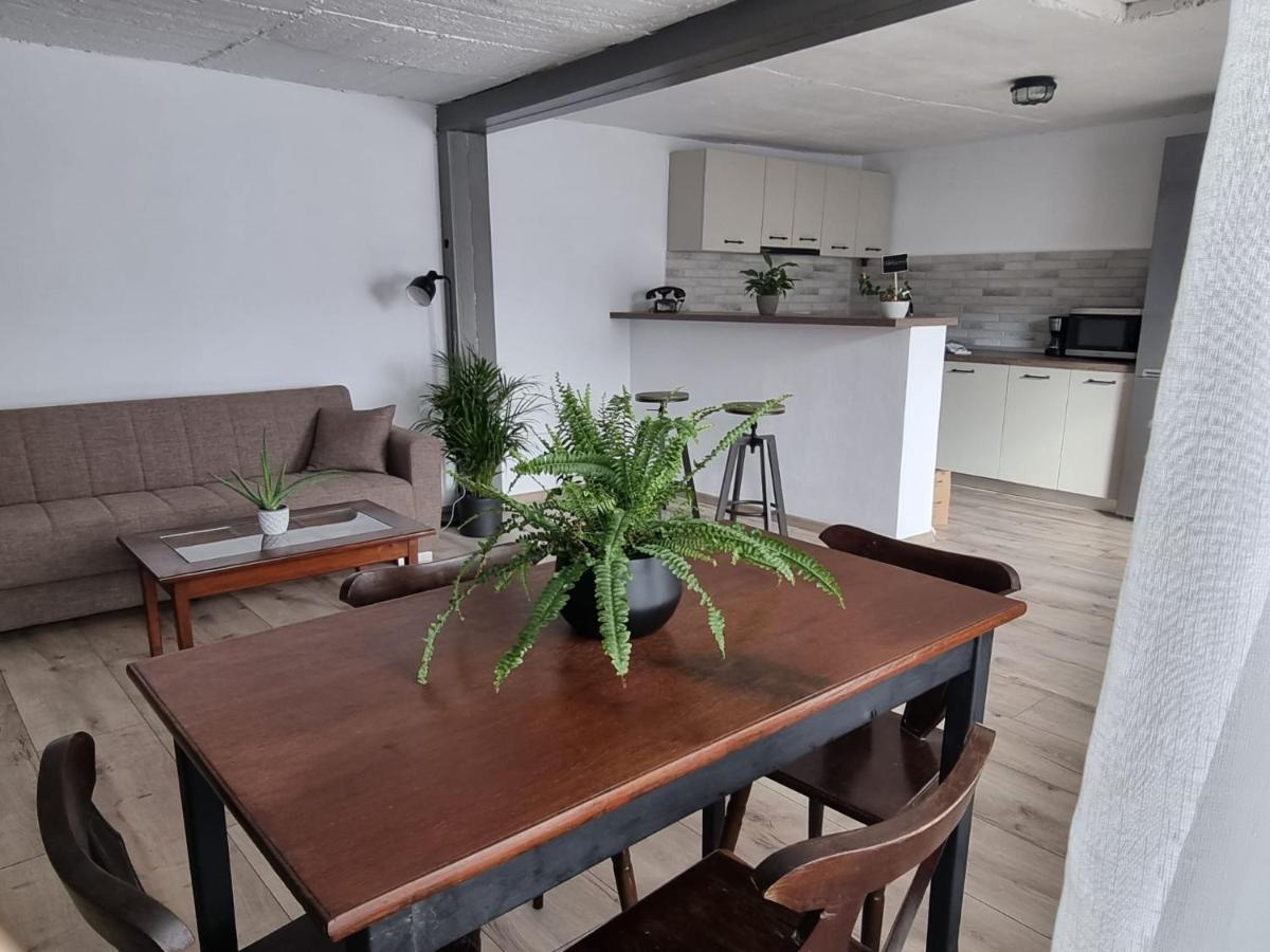 Apartament The Cozy Bunker Sibiu